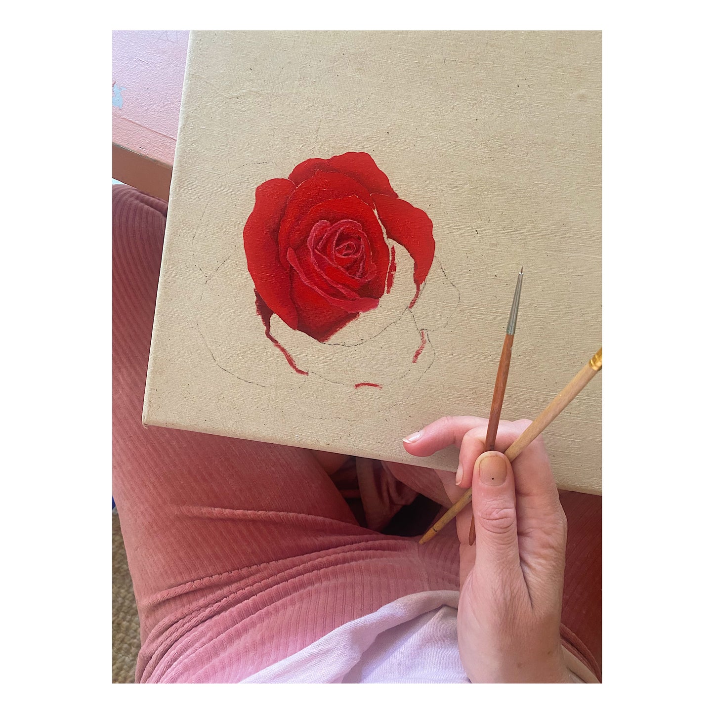 red rose