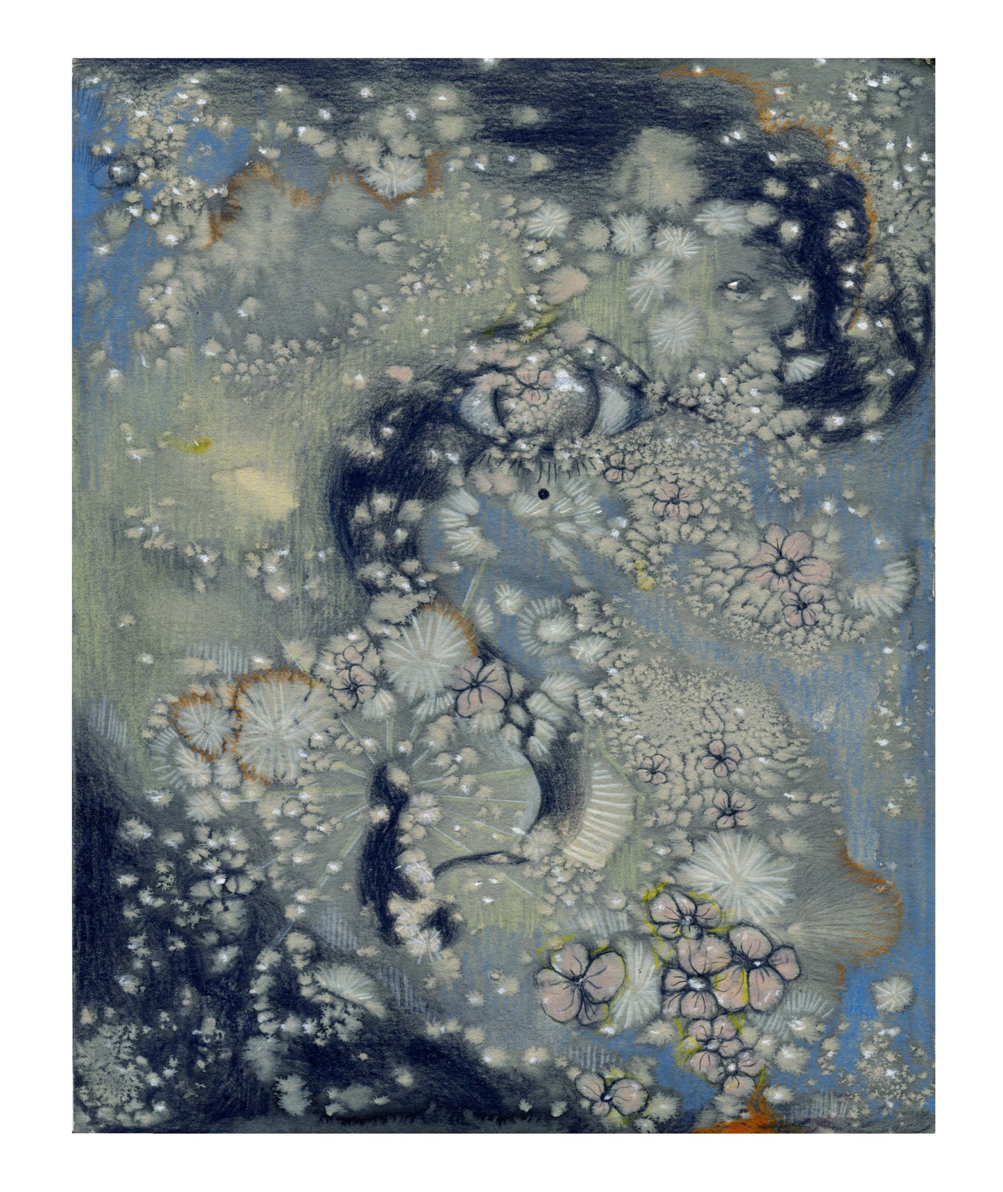 realm XIV