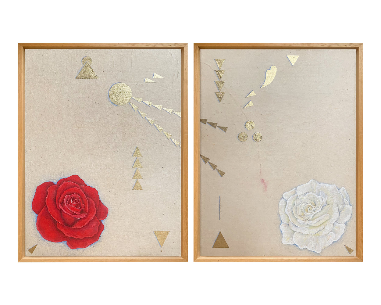 white rose